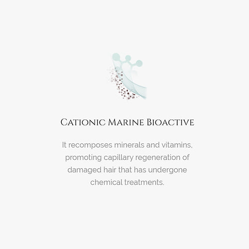 H-Detox Prime  KIT